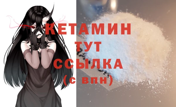 стаф Каменка