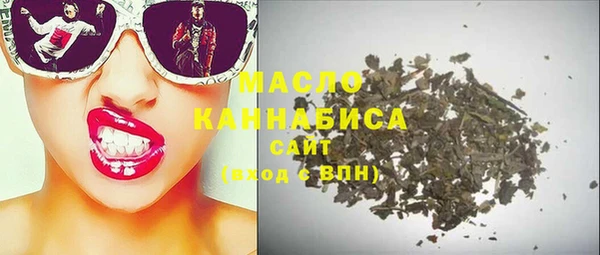 стаф Каменка