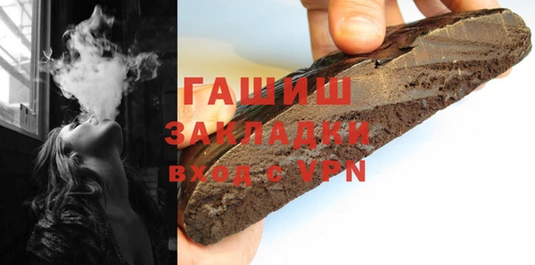 стаф Каменка