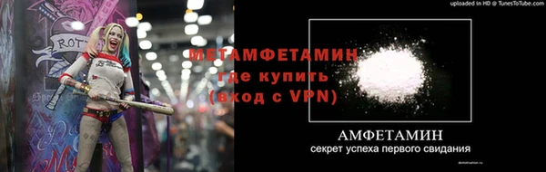 стаф Каменка