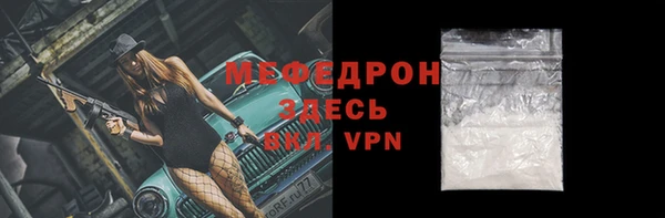 стаф Каменка