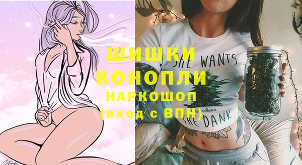 стаф Каменка