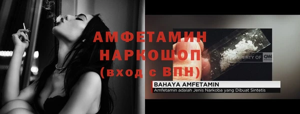 стаф Каменка
