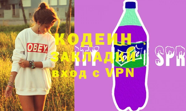 стаф Каменка