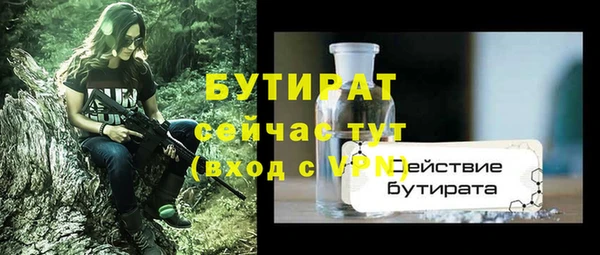 стаф Каменка