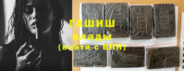 стаф Каменка