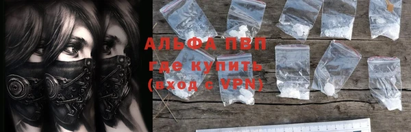 стаф Каменка