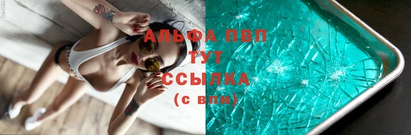стаф Каменка